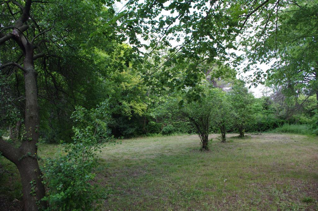 Chateau Le Vergel Authenac Ginestas الغرفة الصورة