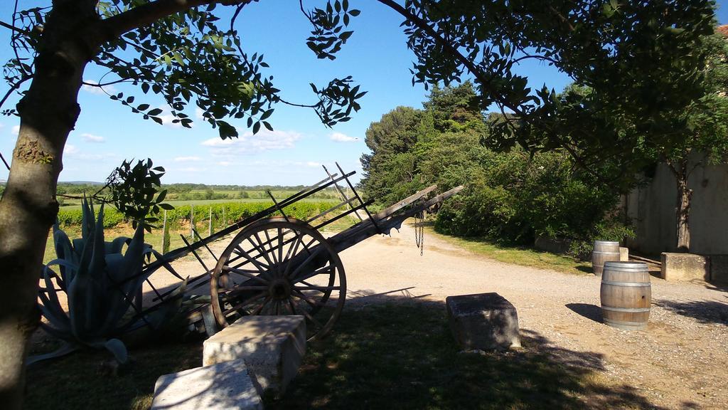 Chateau Le Vergel Authenac Ginestas الغرفة الصورة